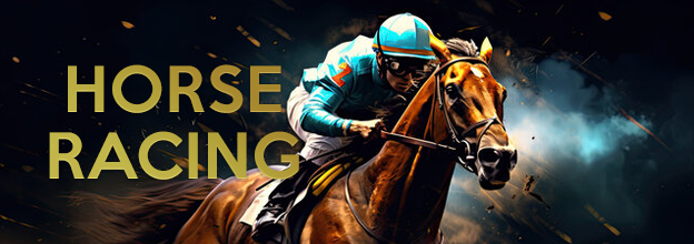 WagerShack Sports Betting Sports Betting And Casino Games WagerShack Sports Betting Sports Betting And Casino Games